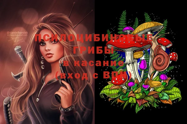 гидра Снежногорск