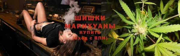гидра Снежногорск