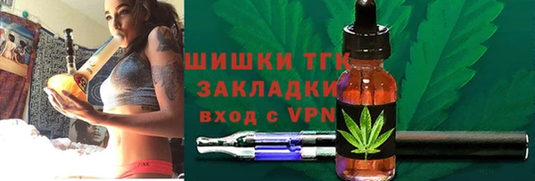 гидра Снежногорск