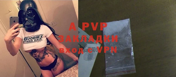 гидра Снежногорск