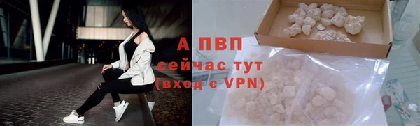гидра Снежногорск