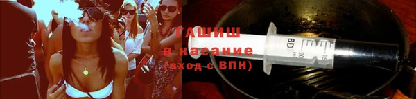 гидра Снежногорск
