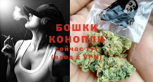 гидра Снежногорск