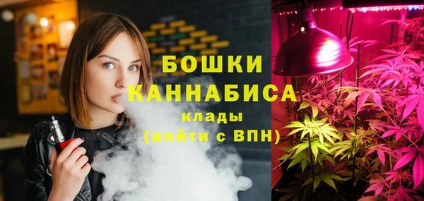 гидра Снежногорск