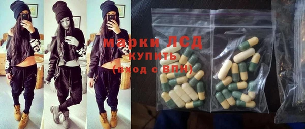 гидра Снежногорск
