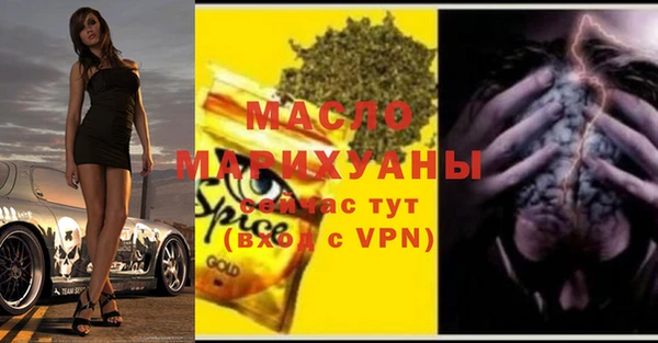 гидра Снежногорск