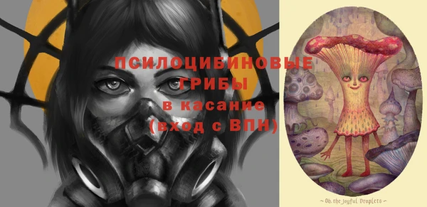 mdpv Снежинск