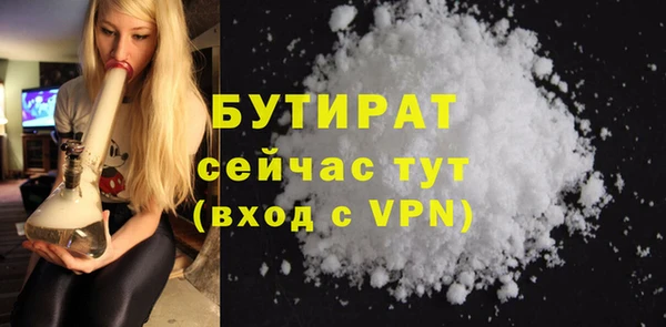 гидра Снежногорск